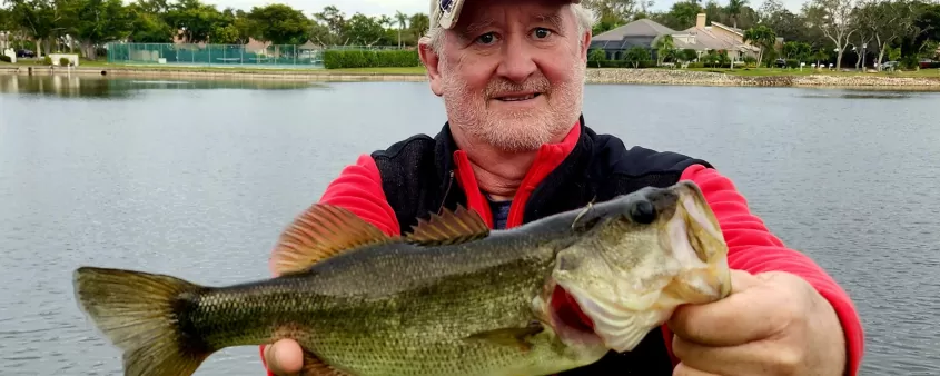 The famed Florida strain of largemouth bass
