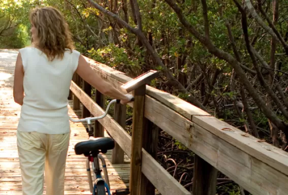 Earth-Friendly Transportation